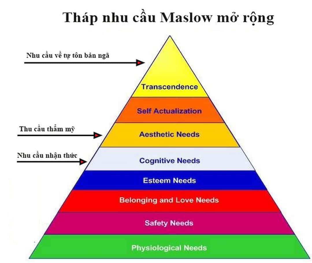 Tháp nhu cầu Maslow mở rộng