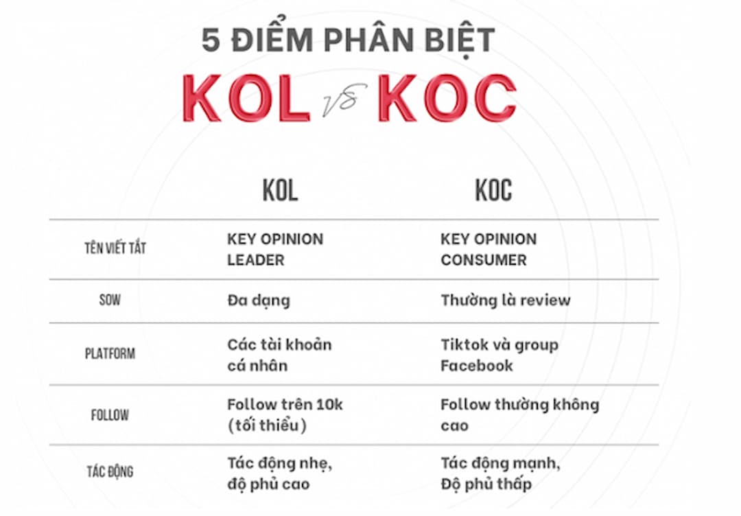 KOC/KOL TikTok