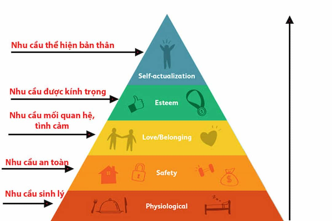 Tháp nhu cầu maslow 5 bậc